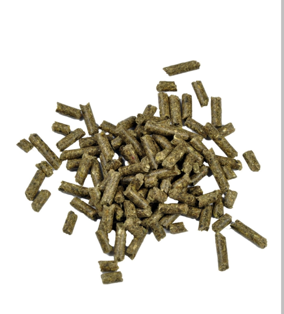 Dr. Bassleer Biofish Food Shrimp Sticks Regular