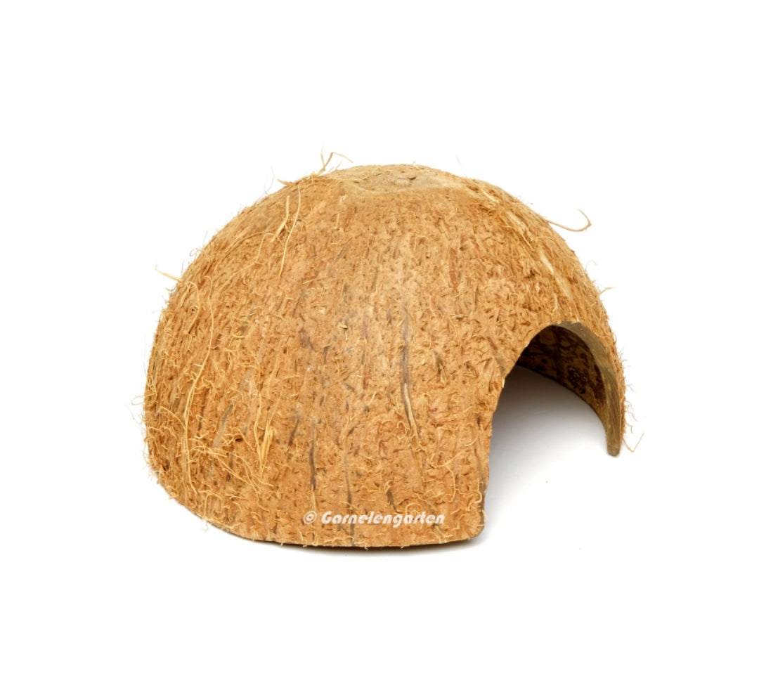Kokosnuss Höhle