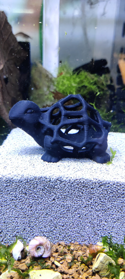Moosschildkröte mit Anubias
