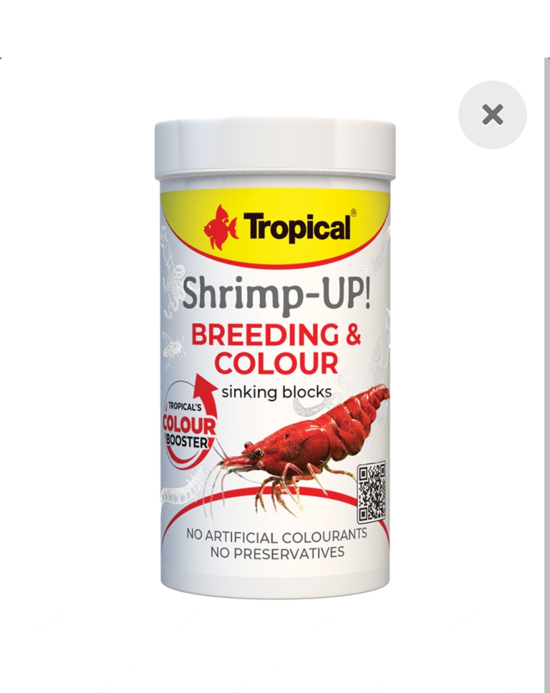 Tropical Shrimp-UP! Breeding & Colour