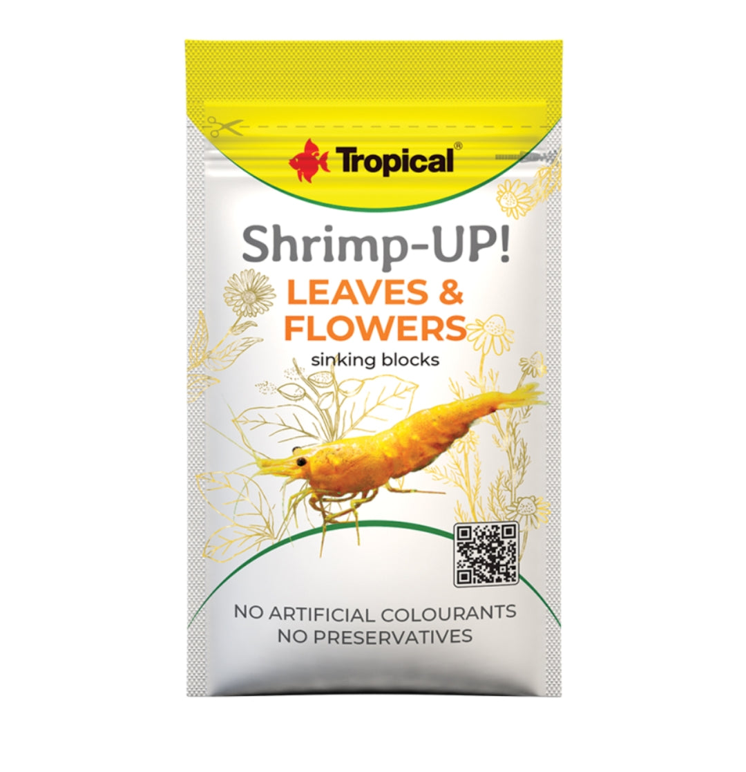 Tropical Shrimp-UP! Leaves & Flowers