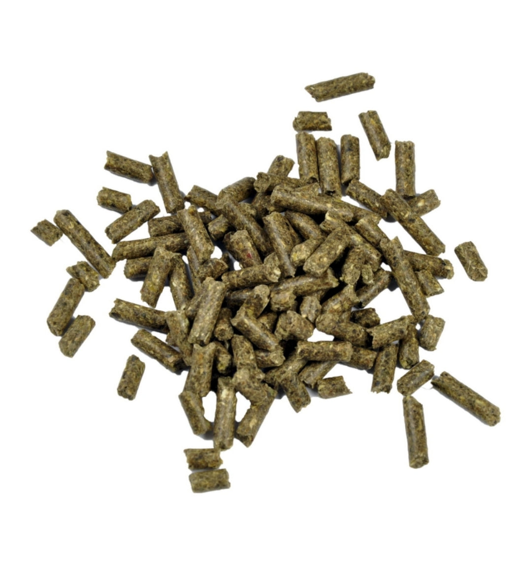 Dr. Bassleer Biofish Food Shrimp Sticks Garlic