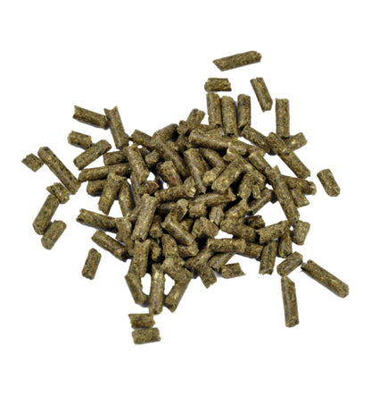 Dr. Bassleer Biofish Food Shrimp Sticks Garlic