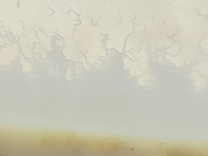 Panagrellus redivivus – Mikrowürmchen – Lebendfutter Zuchtansatz