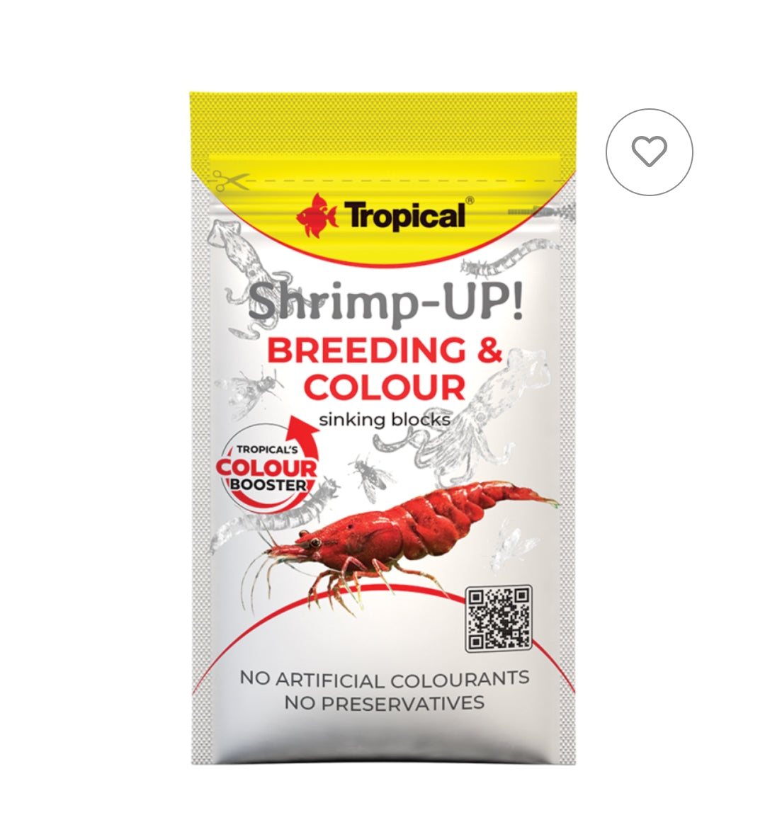 Tropical Shrimp-UP! Breeding & Colour